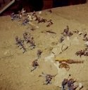 Ron Marlett painted and photographed his toy soldiers.